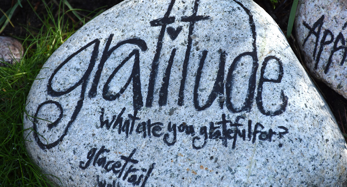 The Power of Gratitude
