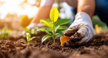 Part II: Grace for the Struggling Team Member