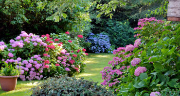Core Identity Fit – Finding the Right Garden